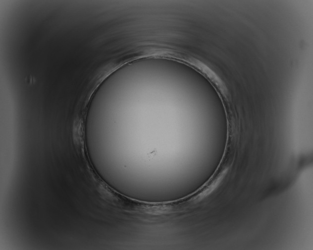 X0000099571001200805160722
