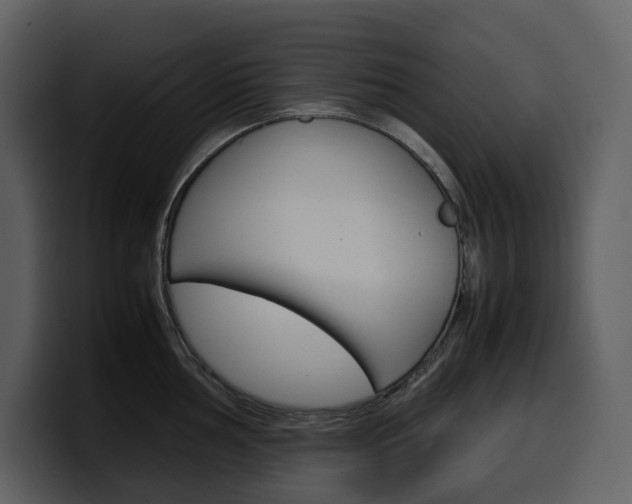 X0000099571002200805160722