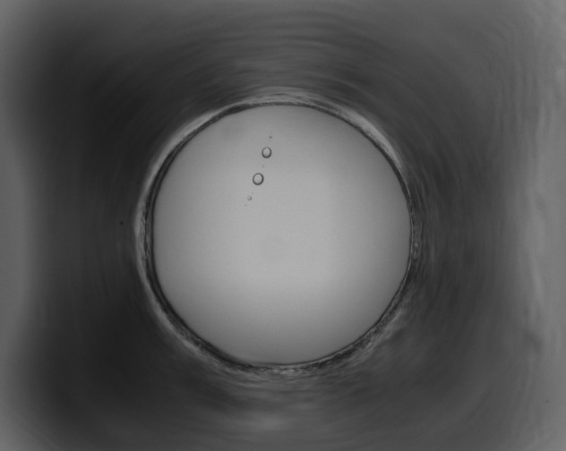 X0000099571003200805160722