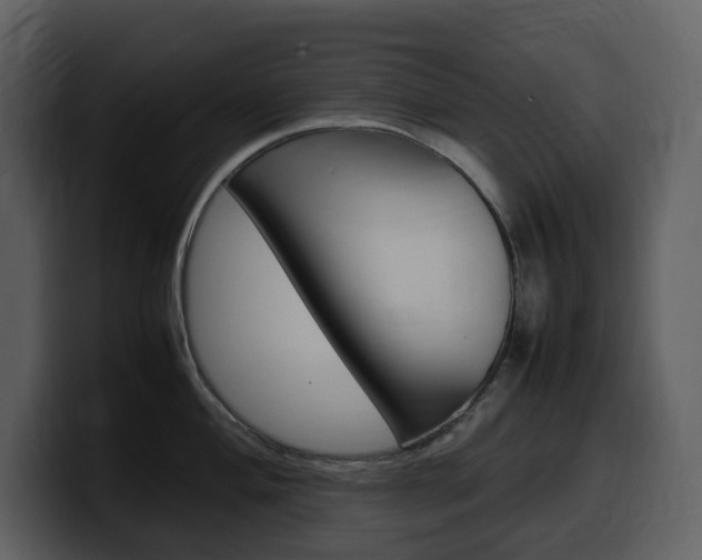 X0000099571004200805160722