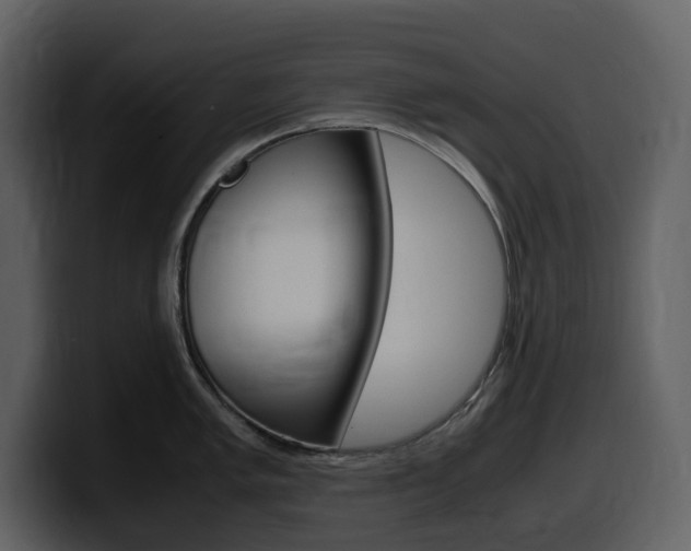 X0000099571005200805160722