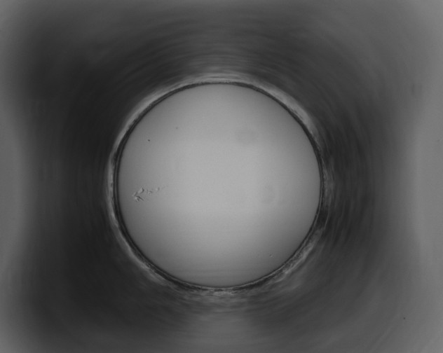 X0000099571006200805160722