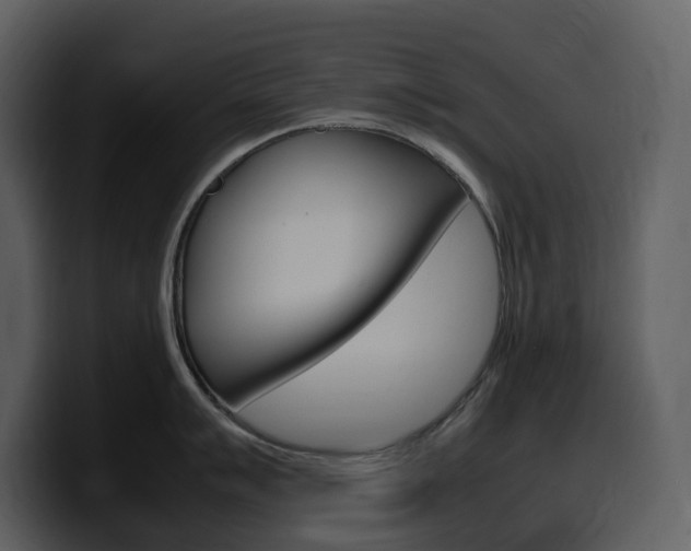 X0000099571007200805160722
