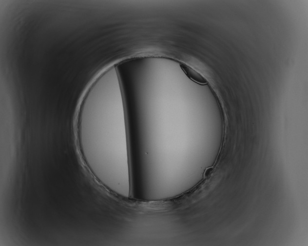 X0000099571008200805160722