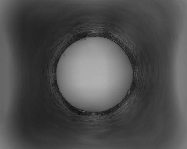 X0000099571009200805160721