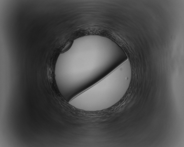 X0000099571010200805160721