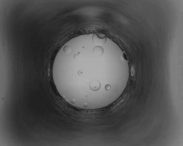 X0000099571011200805160721