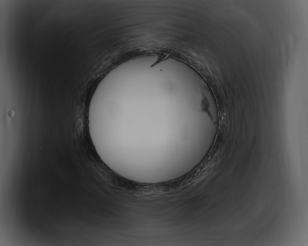 X0000099571012200805160721