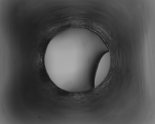 X0000099571013200805160721