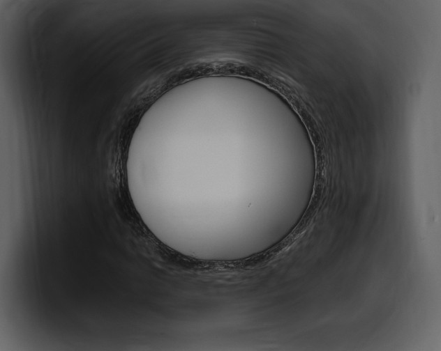 X0000099571014200805160721