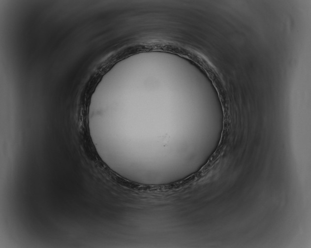 X0000099571016200805160721