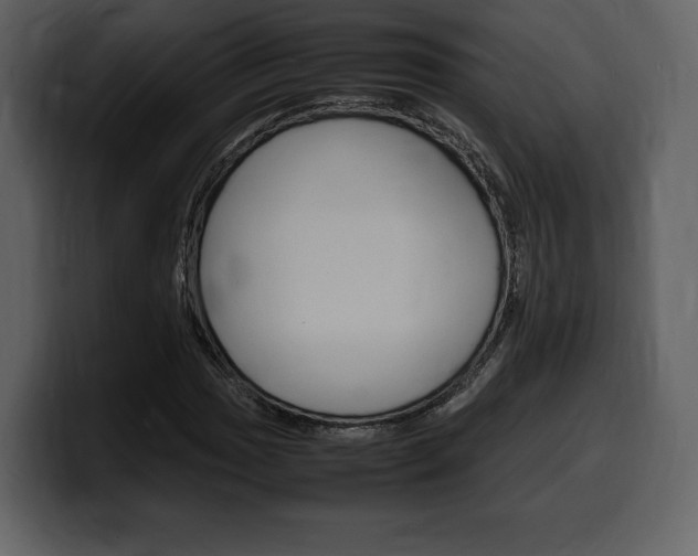 X0000099571017200805160721