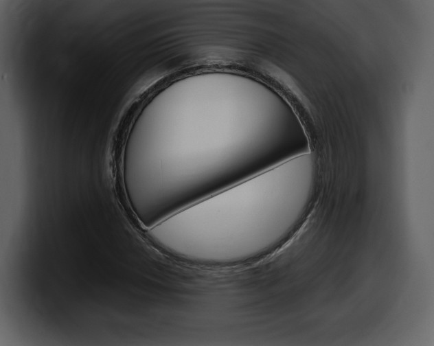X0000099571018200805160721
