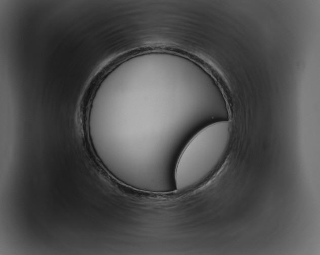 X0000099571022200805160721