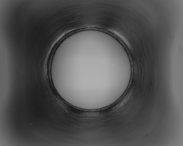 X0000099571023200805160721