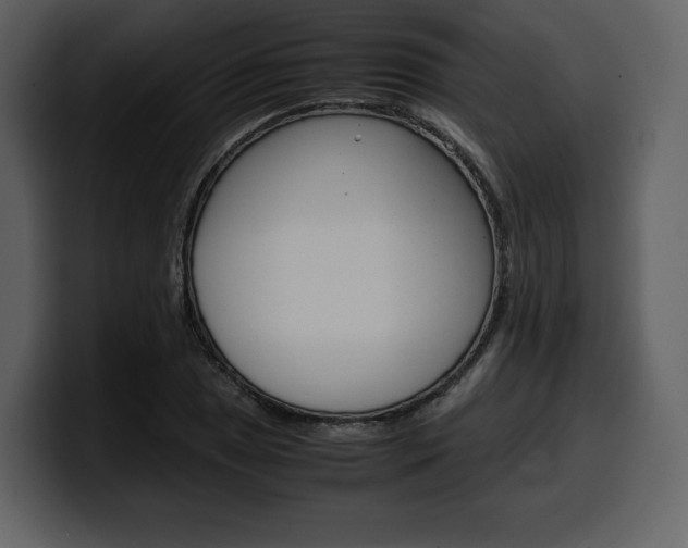 X0000099571025200805160721