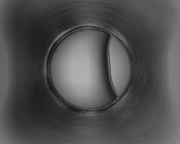 X0000099571028200805160721