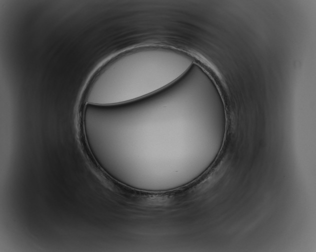 X0000099571029200805160721