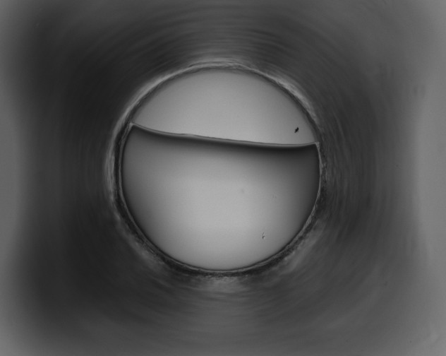 X0000099571030200805160722
