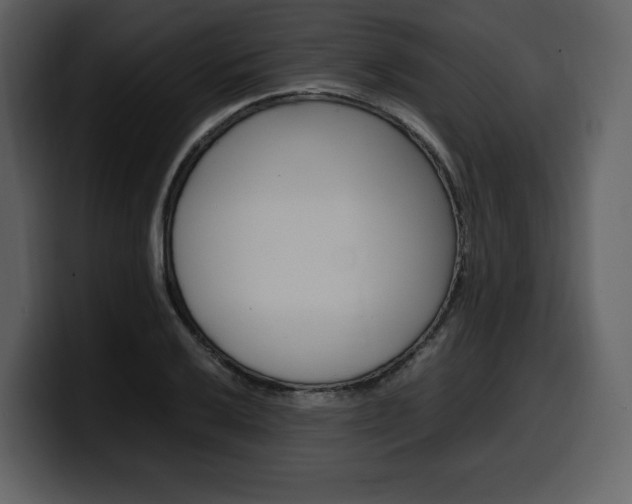 X0000099571032200805160722