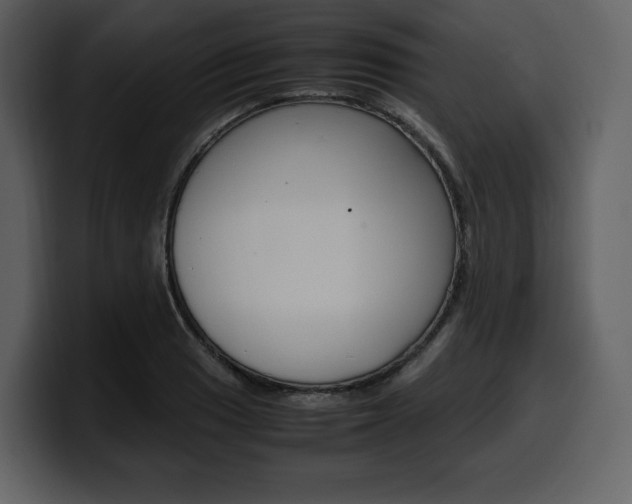 X0000099571033200805160722