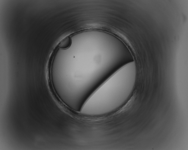 X0000099571034200805160722