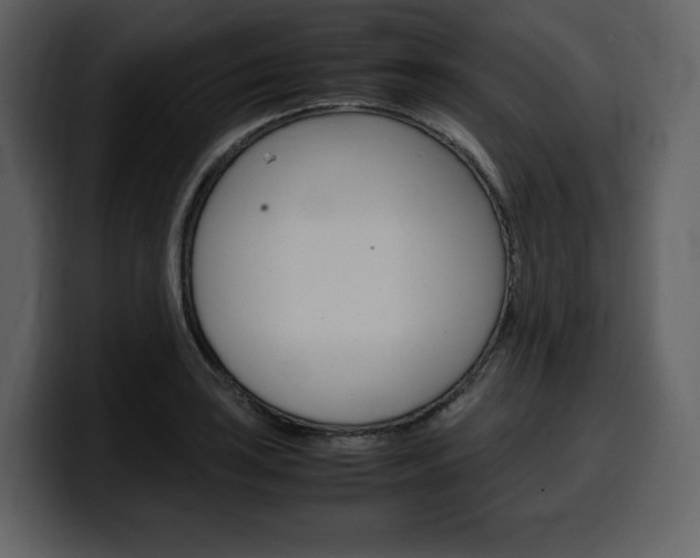 X0000099571035200805160722