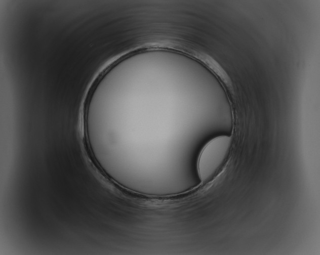 X0000099571036200805160722