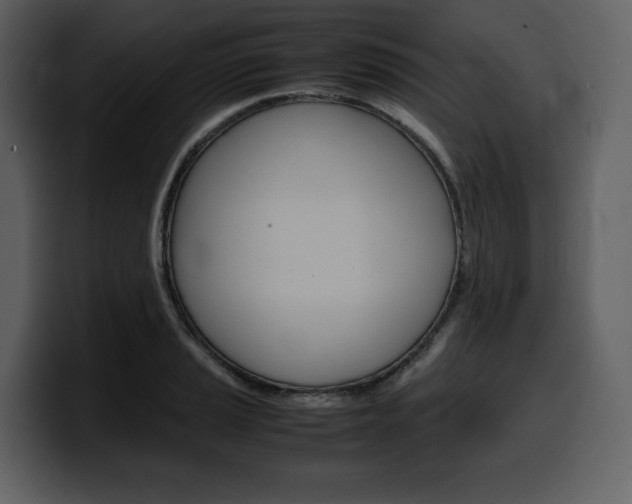 X0000099571037200805160722