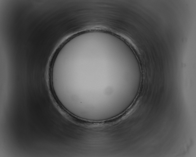 X0000099571038200805160722