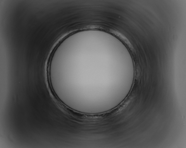 X0000099571039200805160722