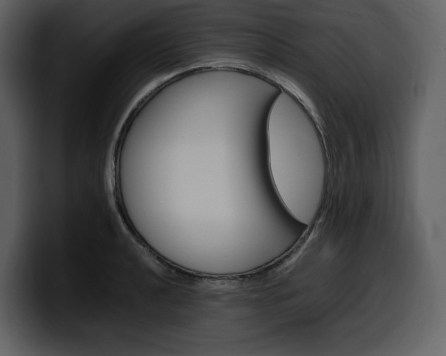 X0000099571040200805160722