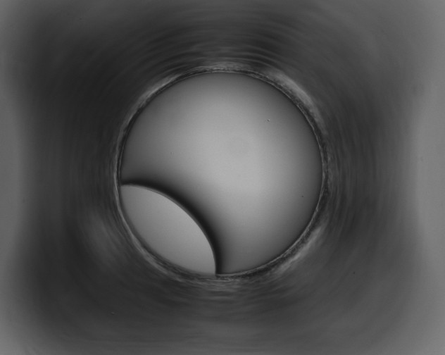 X0000099571041200805160722