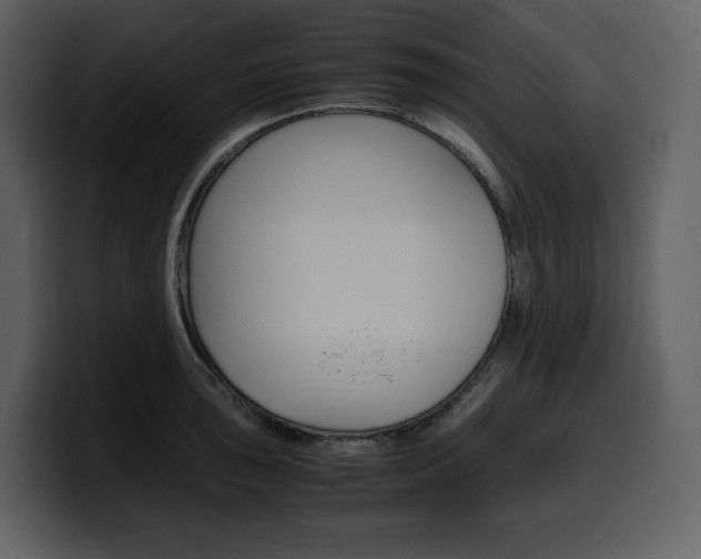 X0000099571043200805160722