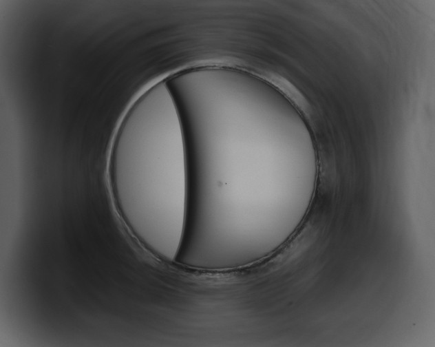 X0000099571044200805160722