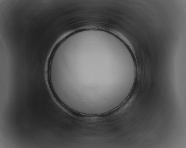 X0000099571045200805160722