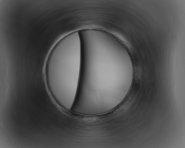 X0000099571046200805160722
