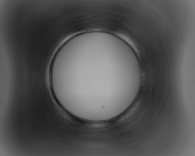 X0000099571047200805160722