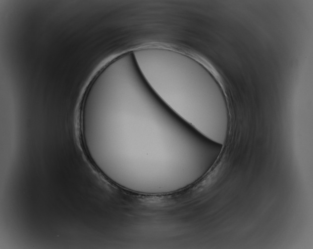 X0000099571048200805160722