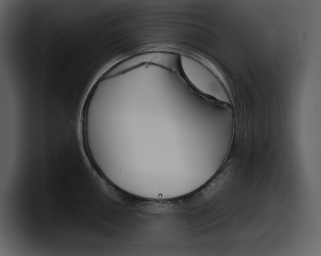 X0000099571050200805160722