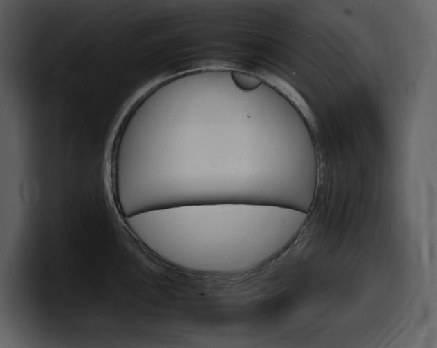 X0000099571051200805160722