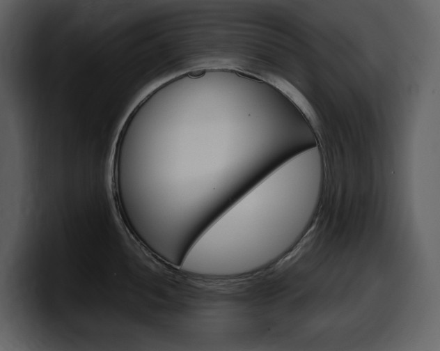 X0000099571052200805160722