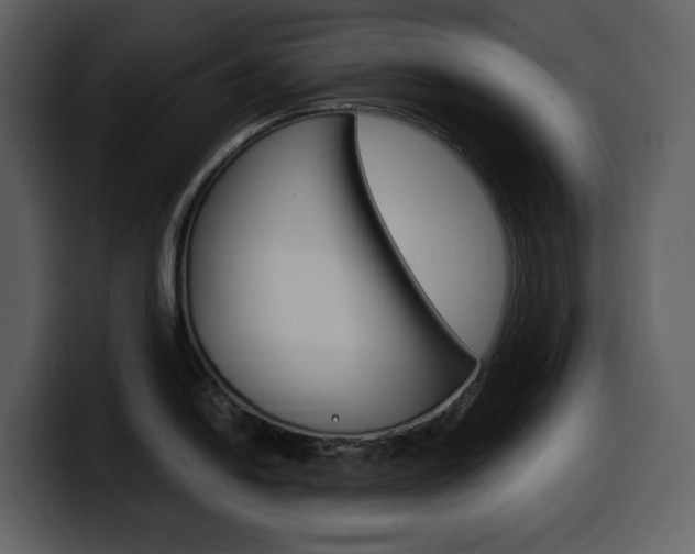 X0000099571054200805160722
