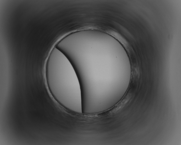 X0000099571055200805160722