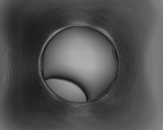 X0000099571056200805160722