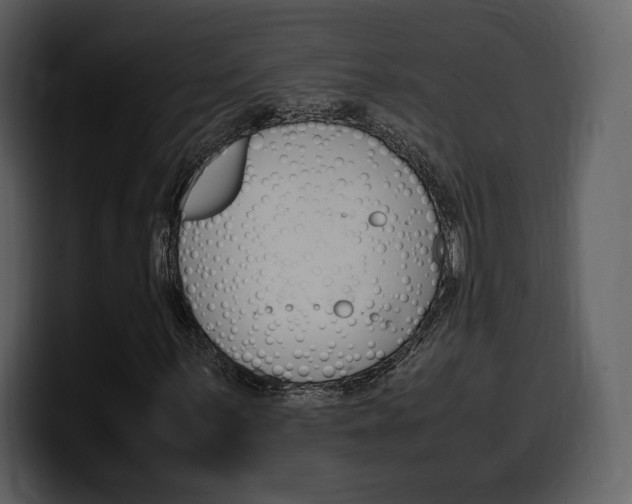 X0000099571059200805160721