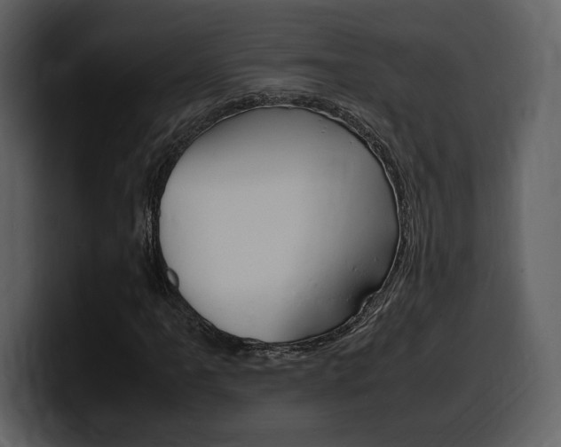 X0000099571061200805160721