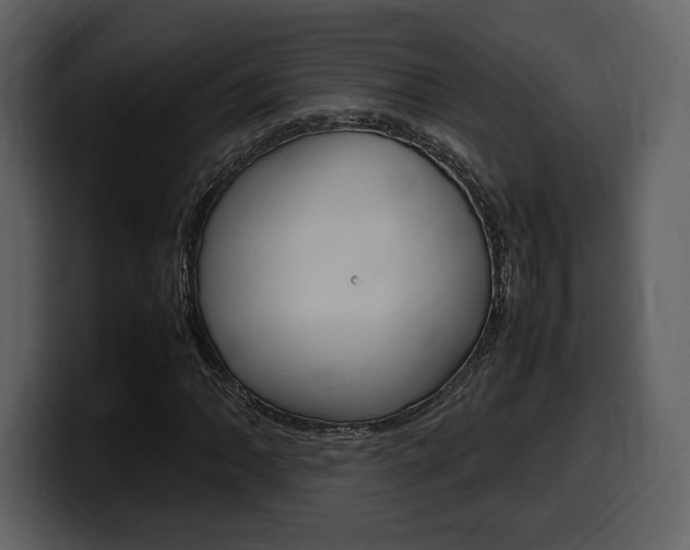 X0000099571062200805160721