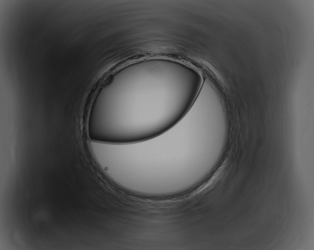X0000099571065200805160721