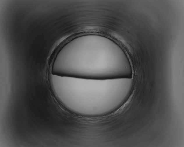X0000099571066200805160721